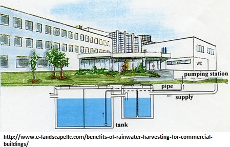 Rainwater-harvest.jpg.